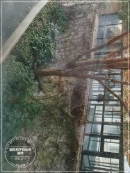-中国福利会国际和平妇幼保健院(徐汇院区)