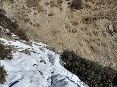 -卧龙自然保护区