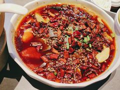 -宏宴·新京菜(望京店)