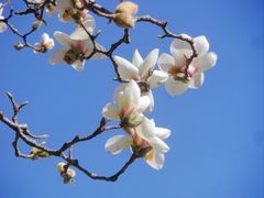 -大钟寺古钟博物馆
