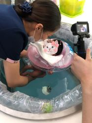 -馨月汇·独栋月子会所(静安店)