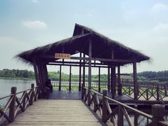 -溱湖国家湿地公园