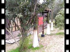 nEO_IMG_10-03-04_16-太阳岛度假酒店