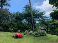 -三亚亚龙湾天域度假酒店