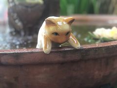 -清迈女子监狱马杀鸡(无分店)
