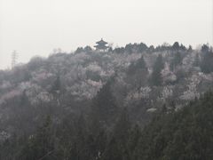 -白水寺森林公园