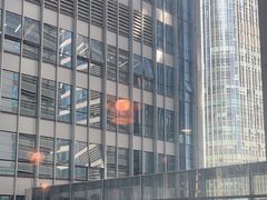 -四季合味椰子鸡(南山大冲店)