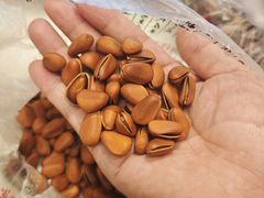 -王老头炒货(天坛东路店)