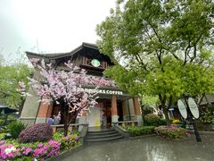 -星巴克臻选(思南公馆店)