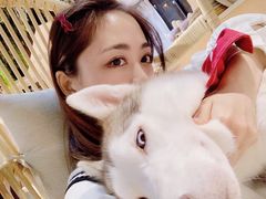 -Husky Go! 哈士奇体验馆·宠物咖啡厅狗咖