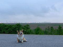 -南汇嘴观海公园