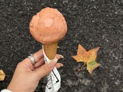 -红楼HONGLOU Gelato(淮海中路店)
