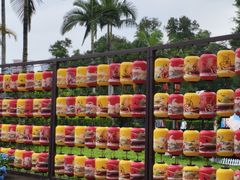-观澜湖生态运动公社