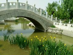 景点-丰台科技园生态主题公园