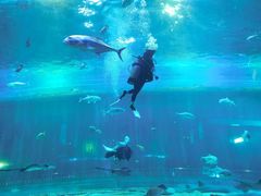 -华夏文旅海洋公园