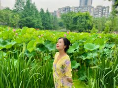 -沐仙湖湿地公园