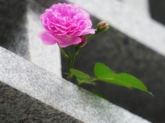 -老门东历史文化街区