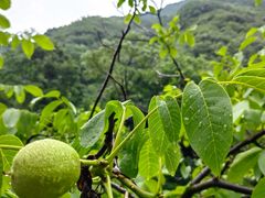 -渭河城市绿地运动公园