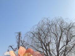 -老门东历史文化街区