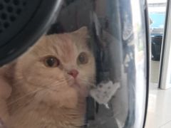 -瑞派福兴宠物医院犬猫全科·骨科·中西医结合(河东店)