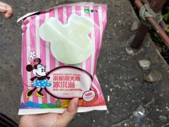 纪念品-上海迪士尼度假区
