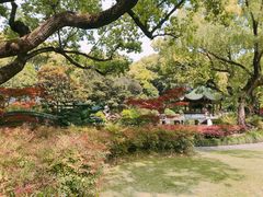 -申粤轩酒楼·三十年粤菜经典(丁香花园店)
