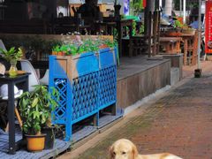 -半坡九号老挝冰咖啡