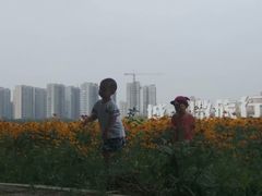 -丁香湖公园