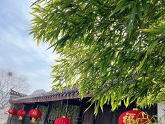 -后柳水乡