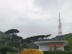 -景山公园