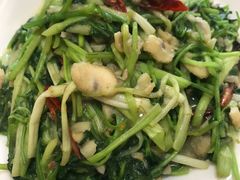 -山菌美食苑(振兴路店)