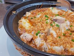 生呛石斑鱼-阿忠食坊大排档·20年老店(万象城店)