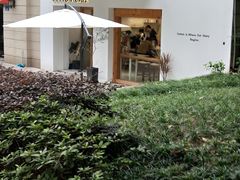 -COTTON CAFE(德信·中外公寓店)