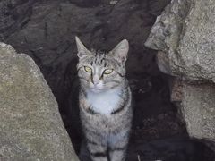 -崂山巨峰游览区