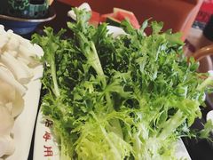 -小背篓菌汤火锅(济阳店)