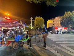 -特克斯八卦城