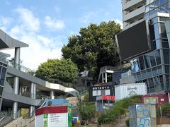 -厦门海港英迪格酒店(中山路店)