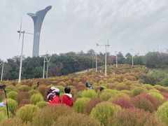 -沈阳植物园