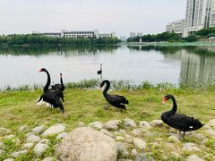 -江南大学(蠡湖校区)