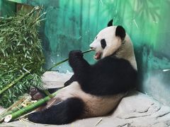 -杭州野生动物世界