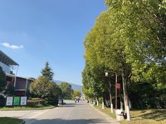 -云南民族村
