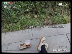 -Tims天好咖啡·贝果(拉斐尔云廊店)