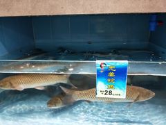 -粥旺庄(芳村店)