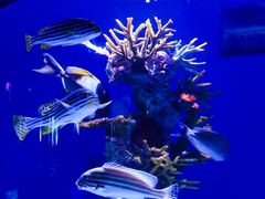 -上海海昌海洋公园-冰山北极馆