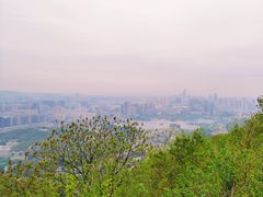 -岳麓山风景名胜区