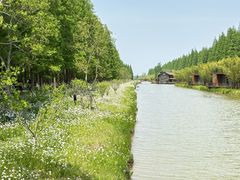 -黄海国家森林公园