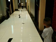 -亢龙太子酒轩(东湖店)