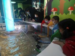 点击看大图 -北京科学中心儿童乐园