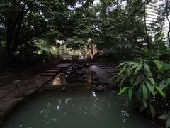 -成都市活水公园