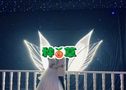 -金夫人婚纱摄影(总店)